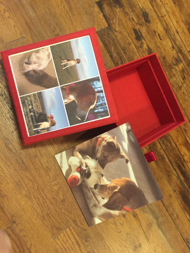 bella forte designs, memory box, best friend, pets, dog, custom,